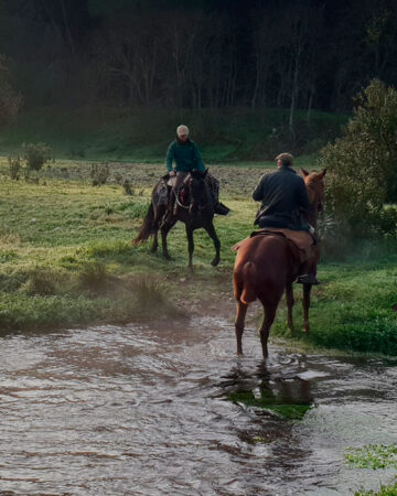 Rutas a caballo de jornada completa