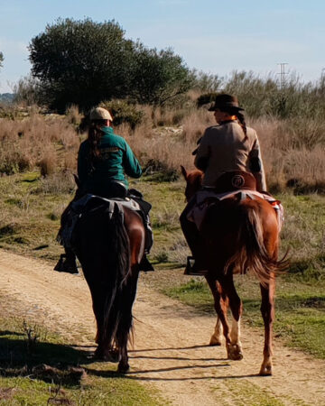 Rutas a caballo de 2 horas aprox